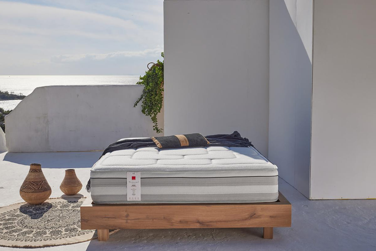 PAPAZOIS domus inclusive | Ιωάννινα | CANDIA – ΣΤΡΩΜΑ ASSOS | 444-186 | CANDIA
