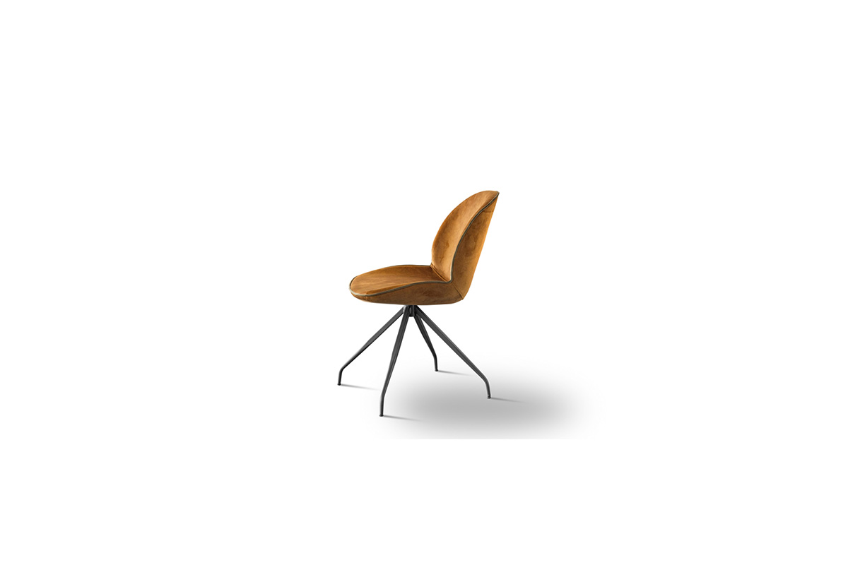 PAPAZOIS domus inclusive | Ιωάννινα | HOMAD – ΚΑΡΕΚΛΑ TULIP | 663-90 | HOMAD