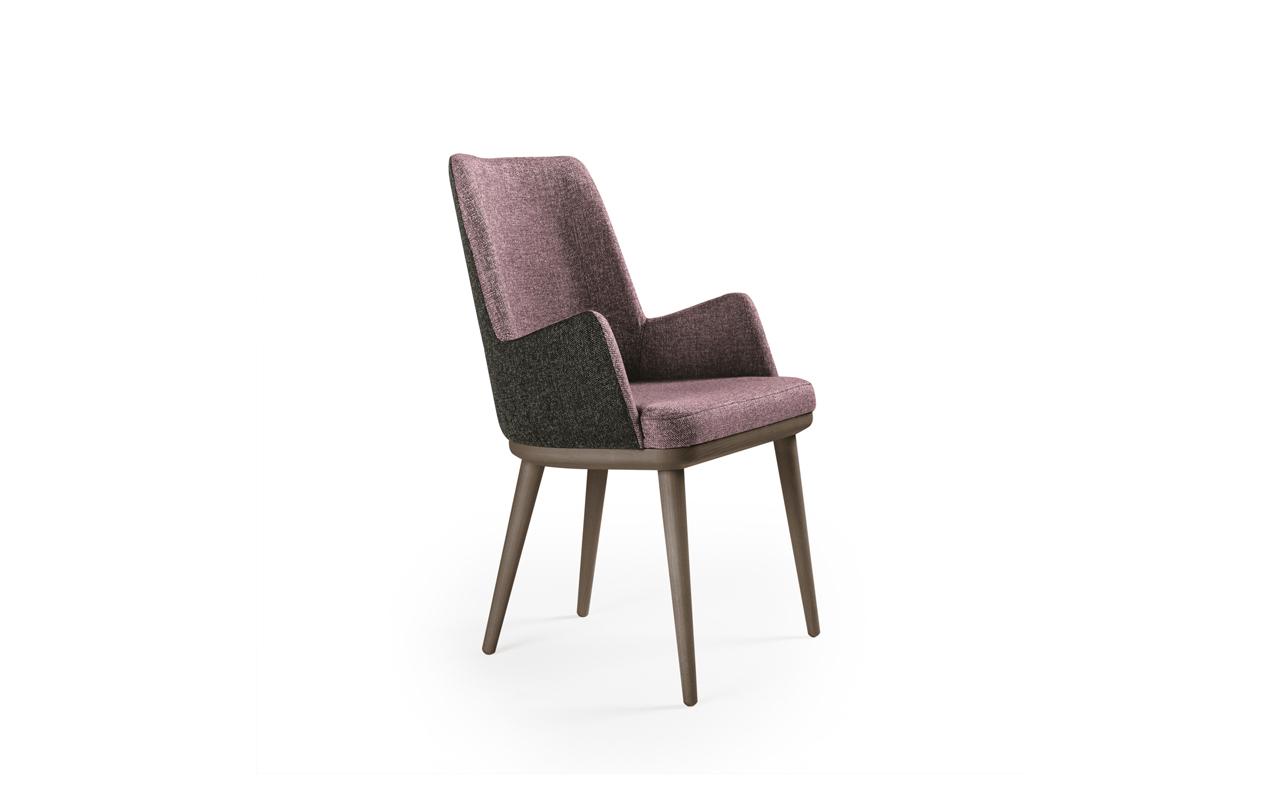 PAPAZOIS domus inclusive | Ιωάννινα | ANESIS – ΚΑΡΕΚΛA CAMELIA | 674-2 | ANESIS
