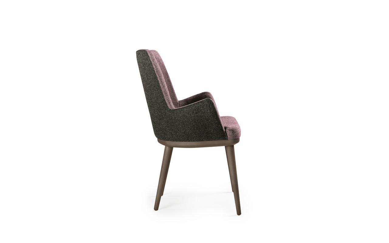 PAPAZOIS domus inclusive | Ιωάννινα | ANESIS – ΚΑΡΕΚΛA CAMELIA | 674-2 | ANESIS