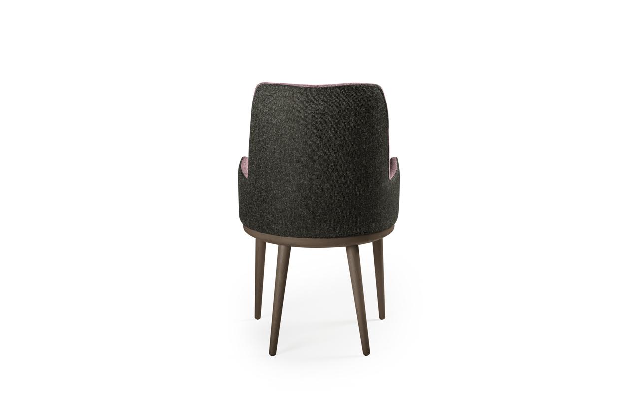 PAPAZOIS domus inclusive | Ιωάννινα | ANESIS – ΚΑΡΕΚΛA CAMELIA | 674-2 | ANESIS